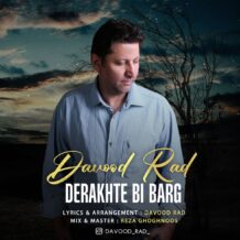 آهنگ جدید داود راد به نام درخت بی برگ